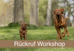 Der perfekte Rückruf