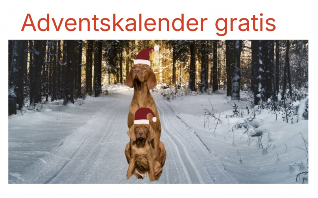 Adventskalender