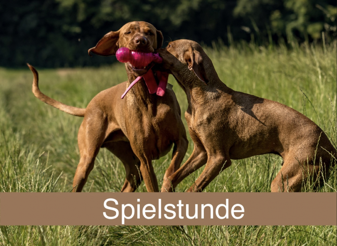 Spielstunde 