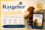 Urlaub mit Hund – Sicher reisen. Gemeinsam genießen. Digitaler PDF-Ratgeber | 80 Seiten