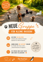 Minis (Kurs nur für kleine Hunde) 